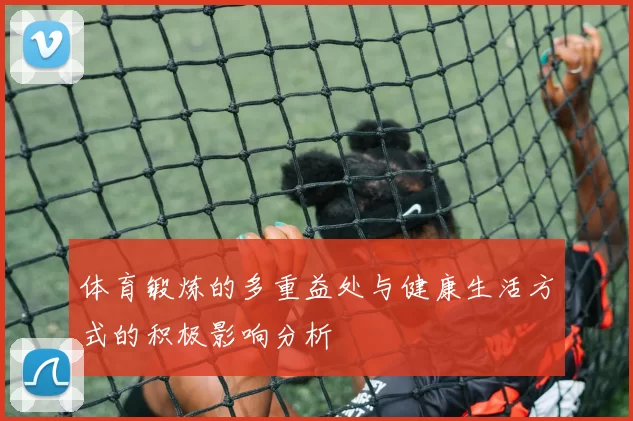 体育锻炼的多重益处与健康生活方式的积极影响分析